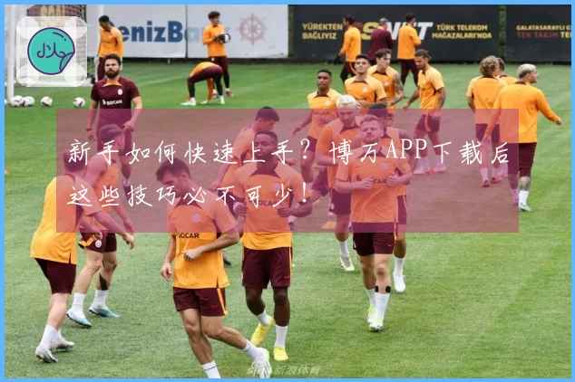 新手如何快速上手？博万APP下载后这些技巧必不可少！