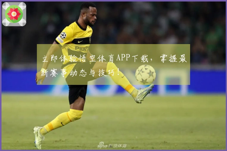 立即体验悟空体育APP下载，掌握最新赛事动态与技巧！