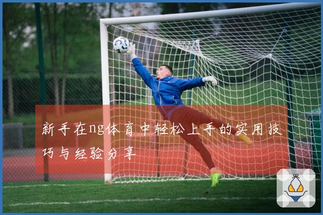 新手在ng体育中轻松上手的实用技巧与经验分享