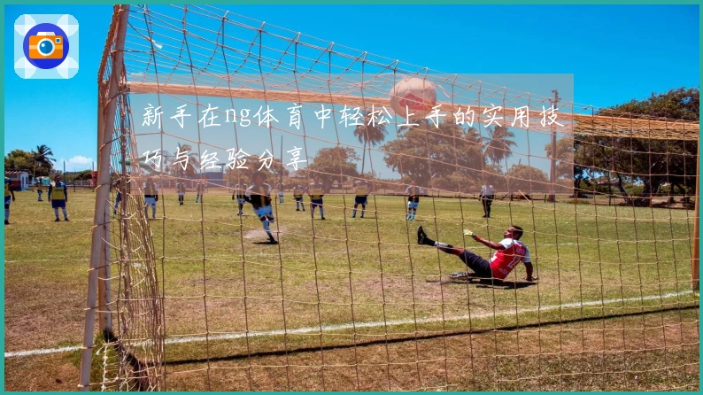 新手在ng体育中轻松上手的实用技巧与经验分享